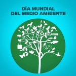 medio-ambiente03